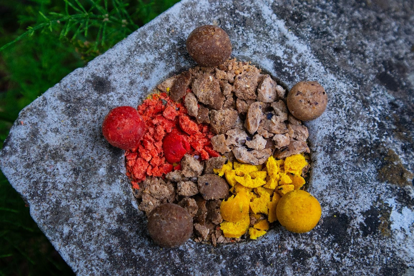 Gratis Boilie Sample Pakket – Ontdek onze kwaliteit!