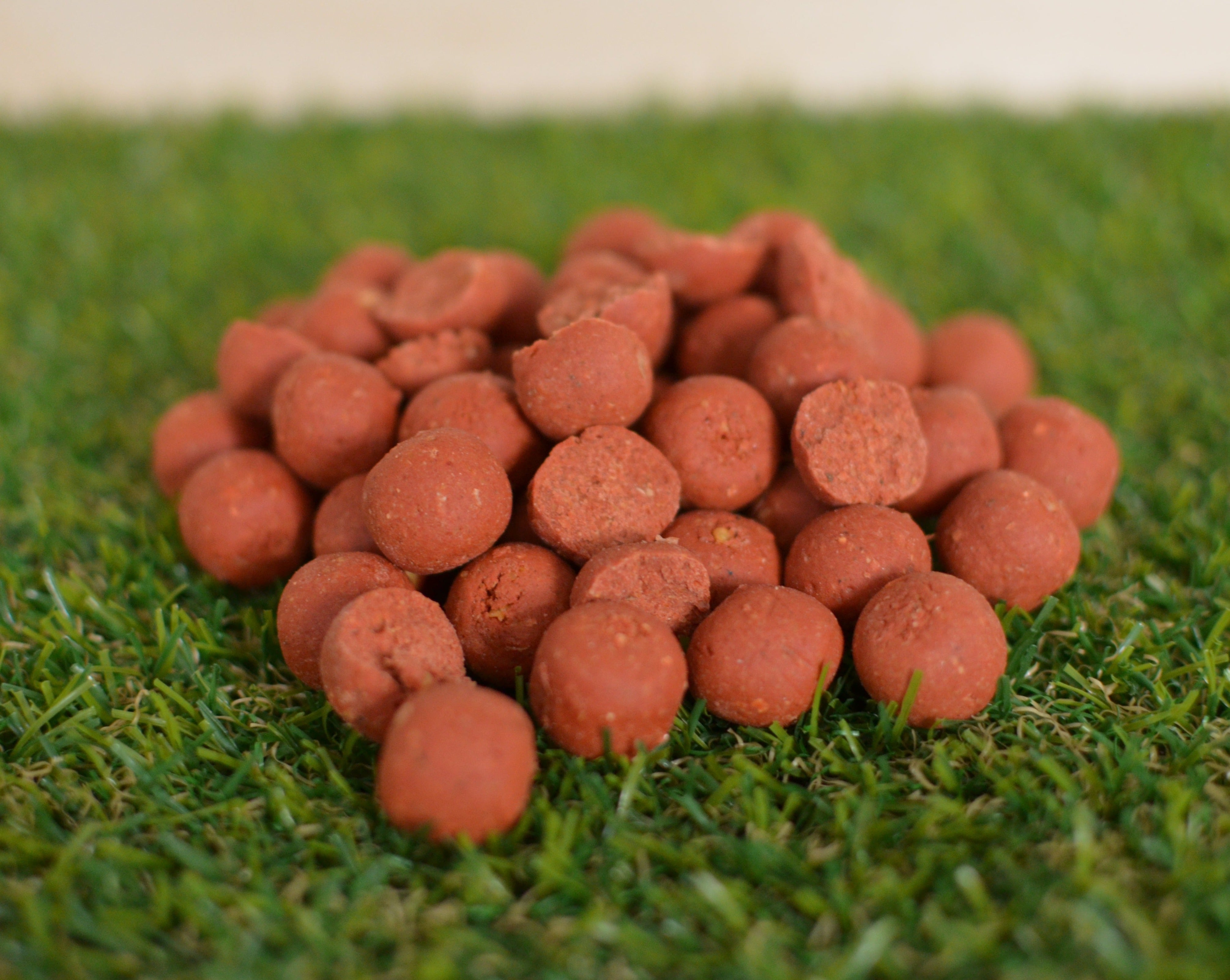 Beef Jerkey FreshFishingBaits